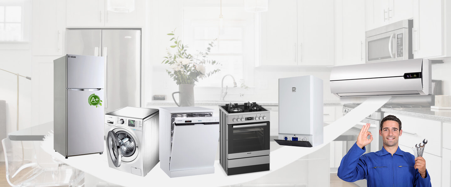 Vize Philips Servisi